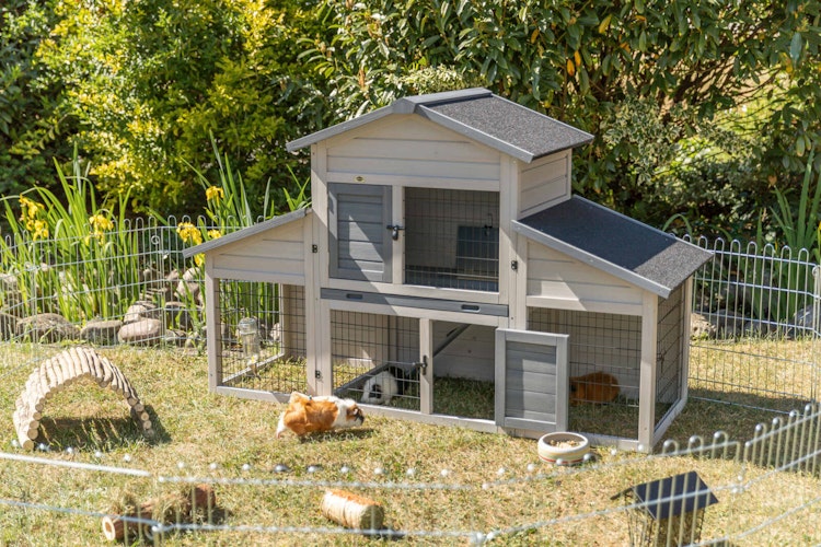 Kleintierstall, 2-stöckig, 175 × 110 × 70 cm, grau