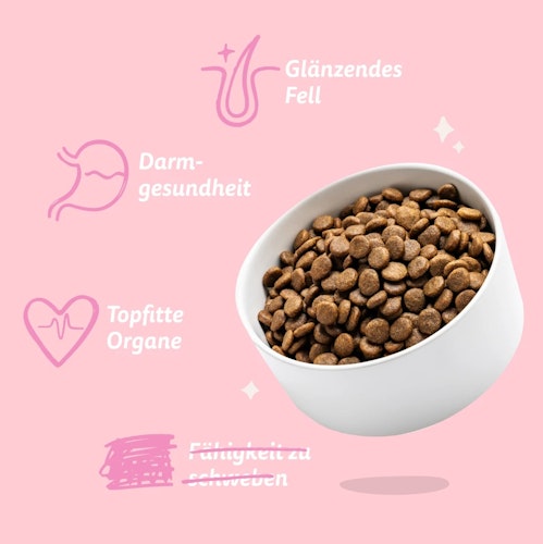 Edgard&Cooper Jun Freilauf-Ente und -Huhn getreidefrei Hundetrockenfutter