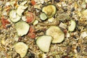 Vorschaubild JR FARM Farm Food Hamster 500g Kleintierfutter