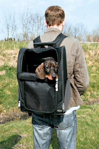 TRIXIE Trolley 36 x 27 x 50 cm schwarz/grau für Hunde und Katzen