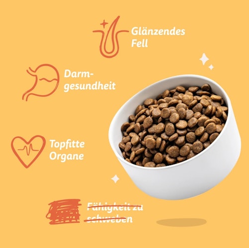 E&C 2,5kg Frisches Freilaufhuhn +Mango