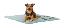 TRIXIE Reisedecke CityStyle, eckig, 80 × 80 cm, salbei
