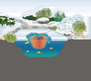 Vorschaubild Oase Eisfreihalter IceFree Thermo 330