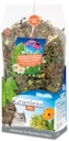 Vorschaubild JR FARM Grainless Health Mix Chinchilla & Degu 600g Kleintierfutter