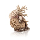 Vorschaubild biOrb Korallen-Muschel Ornament natural (48360)