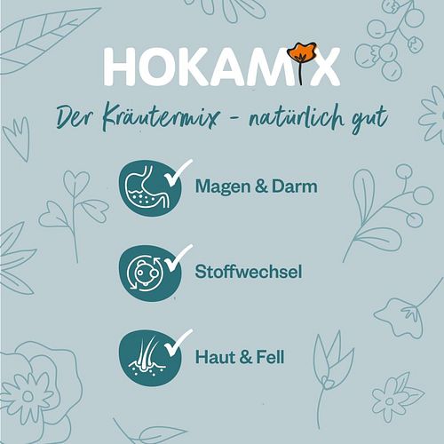 grau Hokamix30 Snack Maxi 400 Gramm Nahrungsergänzung