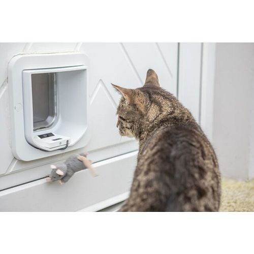 TRIXIE ZeroMOUSE – Smarter Beute-Stopper für bestehende Katzenklappen