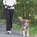 Vorschaubild Hands Free Leine m. Bauchgurt Nylon schwarz