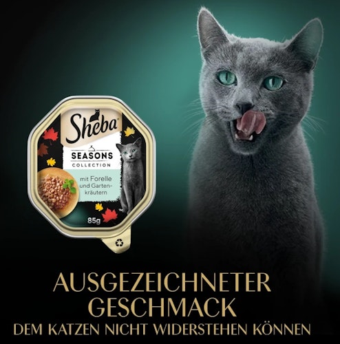 Sheba Seasons Collection wechselnde Sorten 22x85 g