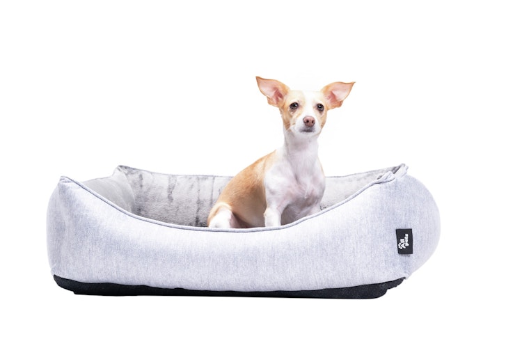 Allpets Bett Marlon orthopädisch silbergrau Hundeschlafplatz