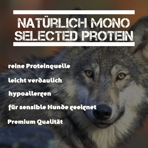 LEITWOLF Selected Ente mit Kartoffeln