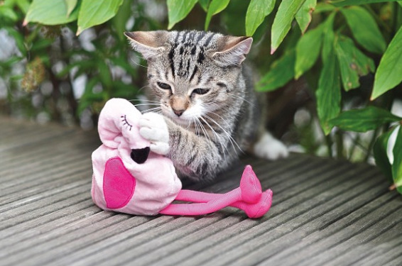 Aumüller Flamingo Pinky Baldrian-/ Dinkelkatzenspielkissen