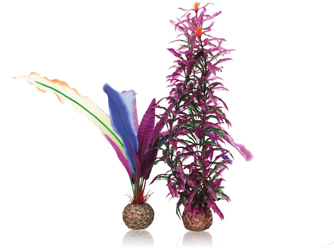 biOrb Papageienfeder S (55078)