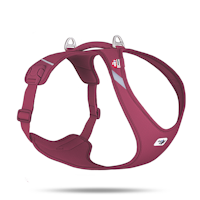 Curli All New Belka Comfort Ruby