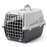 SAVIC Transportbox anthrazit/grau