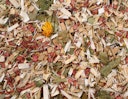 Vorschaubild JR FARM Überstreu Nature-Feeling 500g Einstreu für Vögel