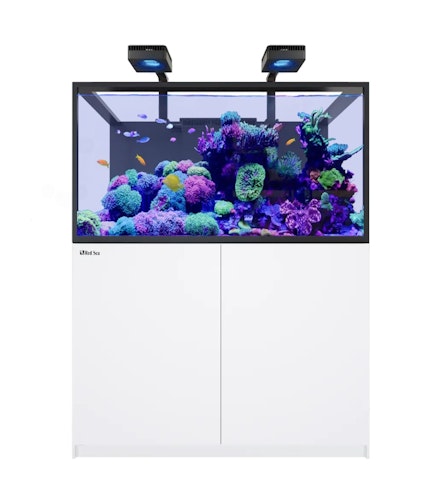 Red Sea REEFER™ S-550 G3 Deluxe - Weiss (inklusive 2  X RL170S & Befestigungsarme)