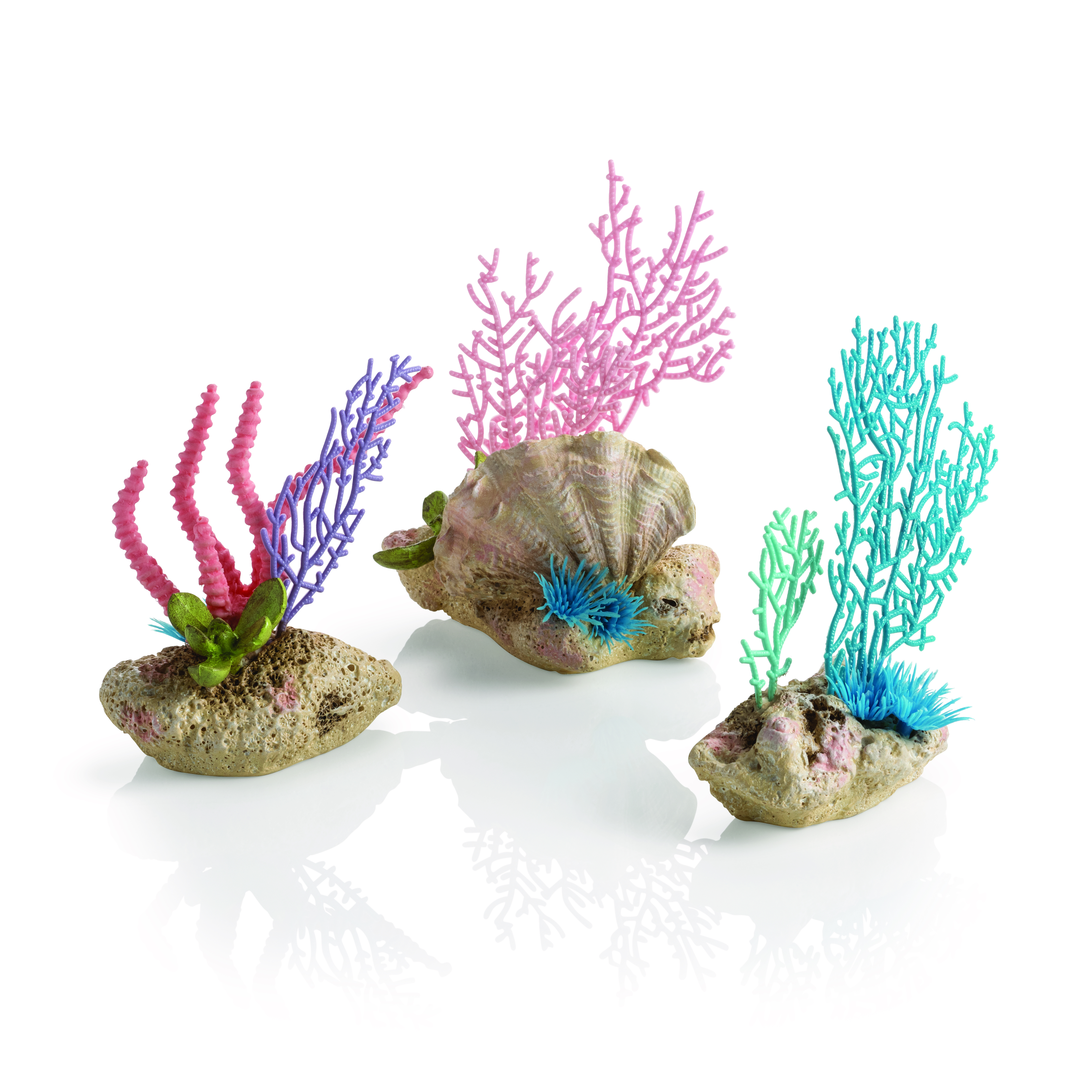 biOrb Korallenfächer & Muschel Set
