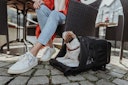 Vorschaubild HUNTER Flugtasche Rucksack Miles 30 x 22 x 45 Centimeter Hundetransport