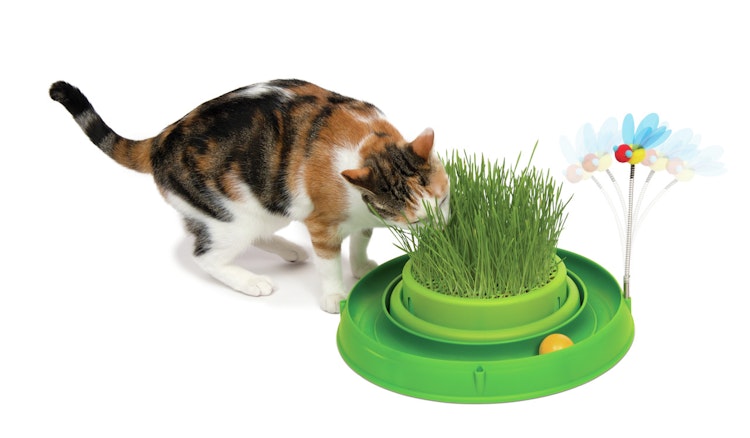 catit Play 3-in-1 Ballspielzeug