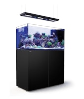 Red Sea REEFER™ Peninsula 500 G3 Deluxe - Schwarz (inklusive 2 X RL170S & Hängebefestigung)