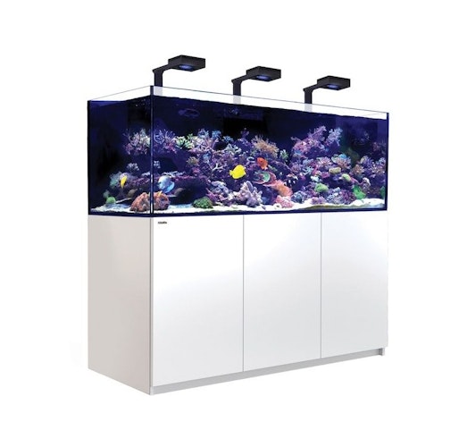 Red Sea REEFER™ 750 G3 Deluxe - Weiss (inklusive 3 X RL170 & Befestigungsarme)