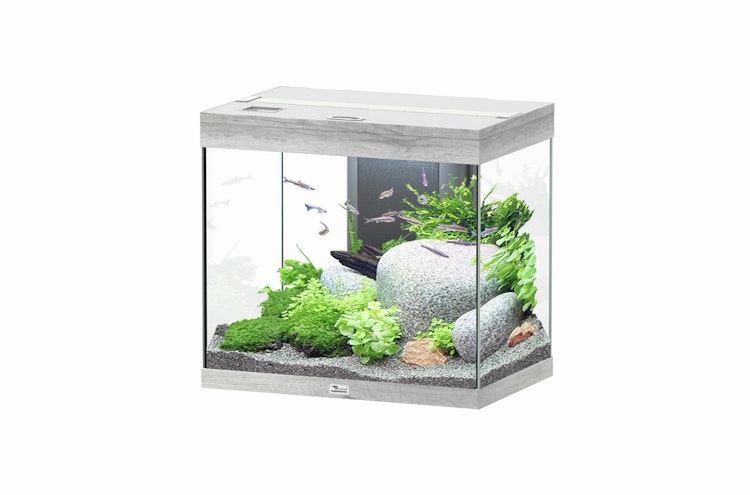 Aquatlantis Splendid 110 Aquarium-Set