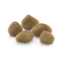 Vorschaubild biOrb Sandsteine (72681)