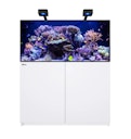 Vorschaubild Red Sea REEFER™ 425 G3 Deluxe - Weiss (inklusive 2 X RL115 & Befestigungsarme)
