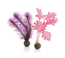 biOrb Seetang Set klein pink (46081)