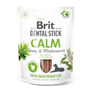 Brit DentalStick 