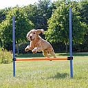Vorschaubild TRIXIE Fun Agility Hürde, Kunststoff, 113 × 110 cm, ø 3 cm, blau/orange