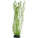 Vorschaubild HOBBY Plant Lagarosiphon Aquarieneinrichtung