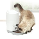 Vorschaubild catit Pixi Smart Futterautomat