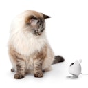 Vorschaubild catit Pixi Smart-Mauskamera Katzenklappen