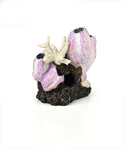 biOrb Seepflanzen Ornament klein pink (46145)