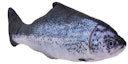 Vorschaubild Aumüller Zappelfisch 35cm Katzenspielkissen
