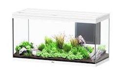Volga 350 LED Weiß Aquarium