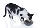 Vorschaubild HUNTER Futternapf Graz 160ml Hunde- und Katzenfutternapf