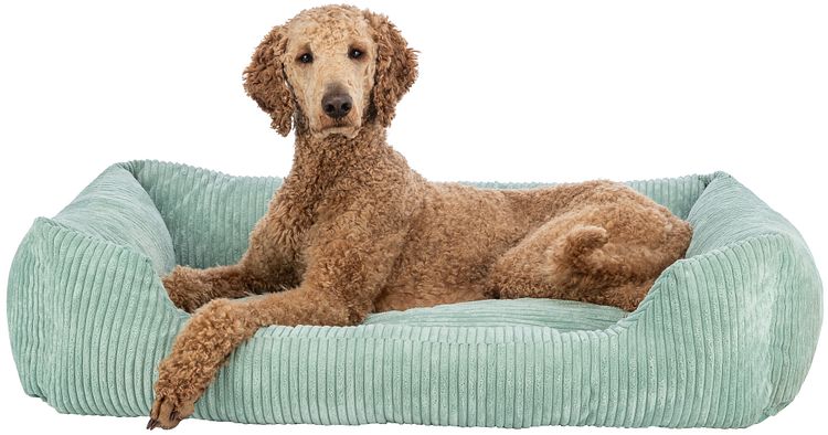 TRIXIE Vital Bett Jonna eckig mit Cordplüsch und Memory-Foam,salbei