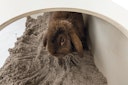 Vorschaubild TRIXIE Buddelkiste für Kaninchen, Holz