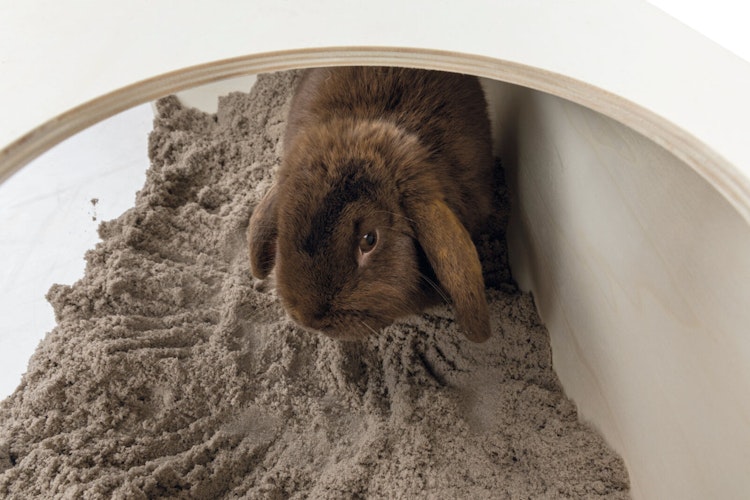 TRIXIE Buddelkiste für Kaninchen, Holz