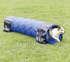 TRIXIE Fun Agility Mini Tunnel, ø 40 cm/2 m, blau