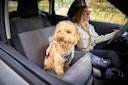 Vorschaubild WOLTERS Dog Traveling Autositz 50 x 40 x 25 cm dunkelgrau