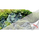 Vorschaubild HOBBY Fotorückwand "Frosty" selbstklebend Aquariendekoration