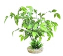 Vorschaubild Sydeco Echinodorus Plant Aquariendekoration