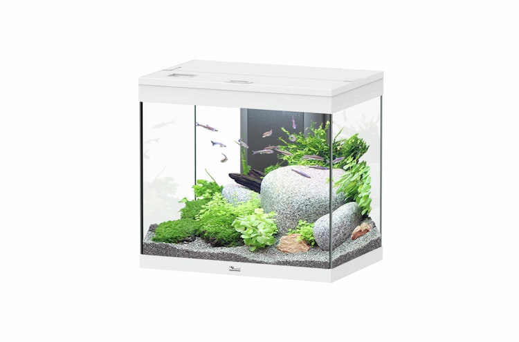 Aquatlantis Splendid 110 Aquarium-Set