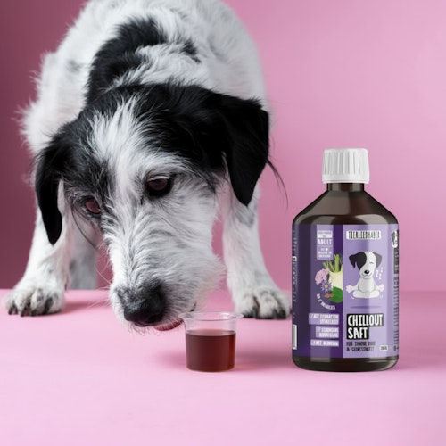 Tierliebhaber Chillout Saft