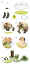 Vorschaubild catit Senses 2.0 Wellness Center Katzenspielzeug