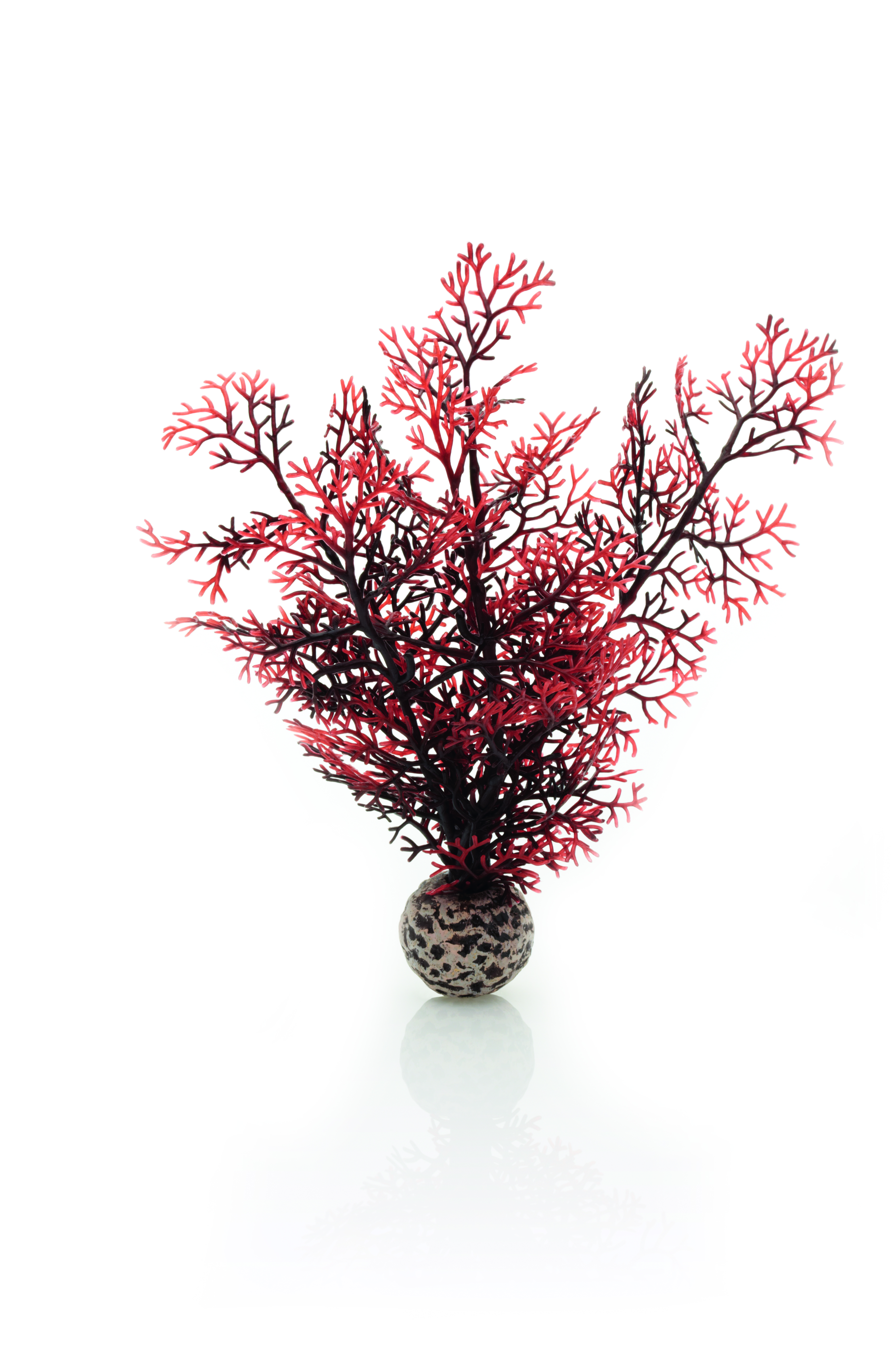 biOrb Hornkoralle klein dunkelrot (46069)